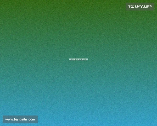 赛事推荐红单—全红单比赛视频