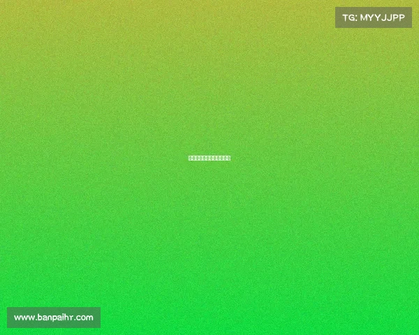 体育赛事资源类型有哪些？