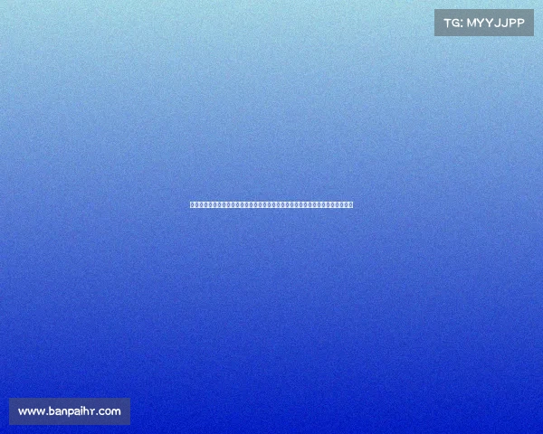 国内技术官员是干啥的、技术官员赛事含义全面解析：定义、内容与重要作用详解